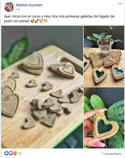 pasteleria-felina-y-canina-1